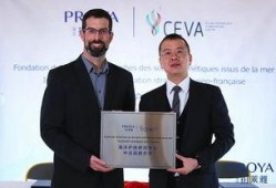 珀莱雅最新爆料,揭秘护肤界的神秘力量